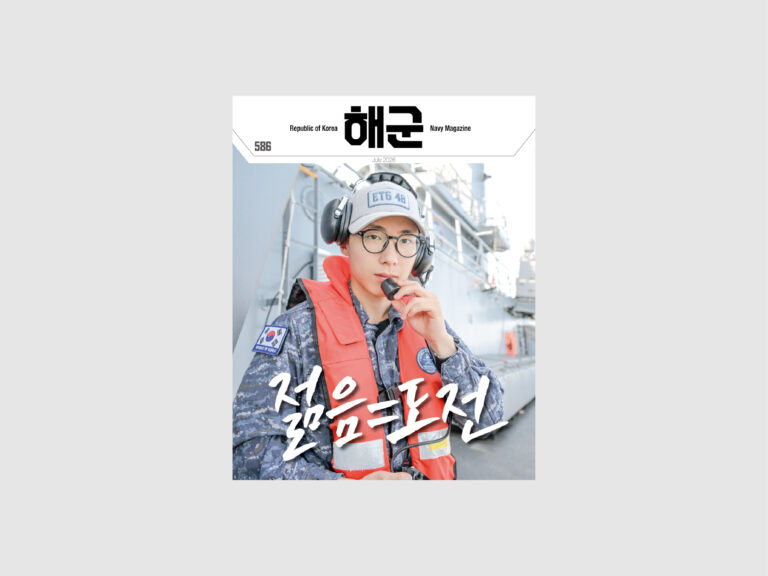 navy 586 cover